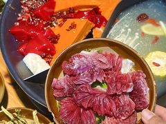 -阳阳老火锅(小南门店)
