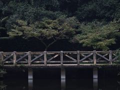 -南山植物园