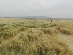 -扁都口生态休闲旅游区