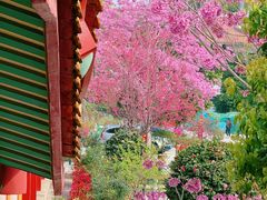 -天竺岩寺