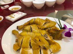 -君豪大酒店-东海渔村中餐厅