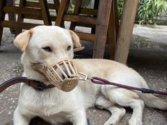 -夹夹大·蟹蟹大排档(财富又一城店)