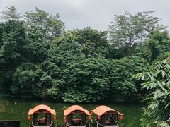 -侨美·唐荔园·40年地道粤菜