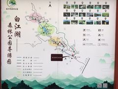 -广州白江湖森林公园