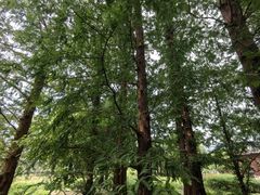 -国家植物园南园