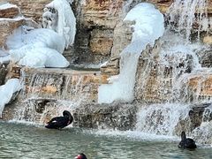 -静之湖度假区