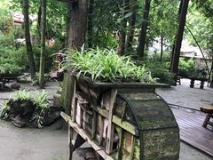 景观位-猪圈咖啡