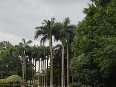-南宁市动物园