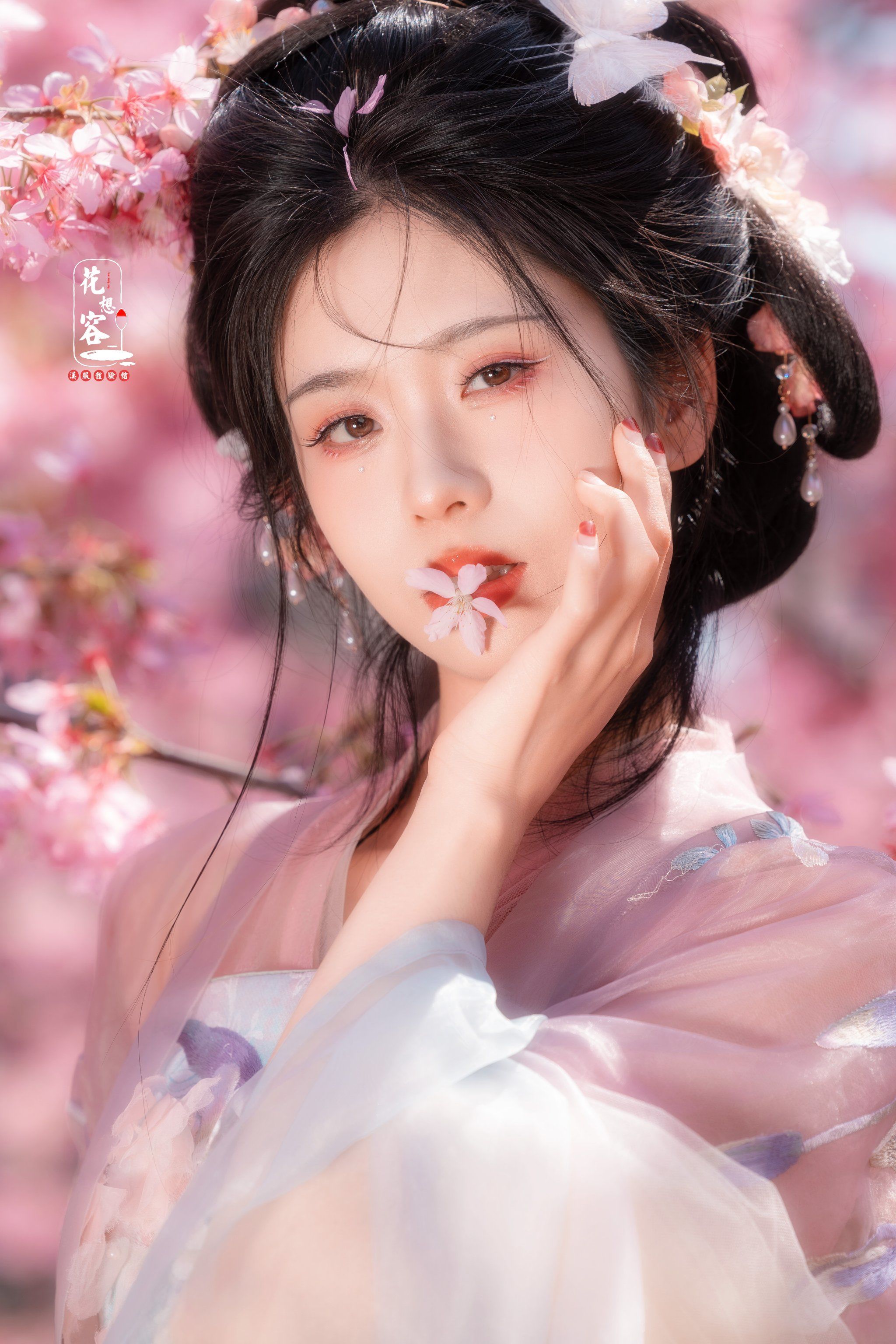 樱花树下的小仙女