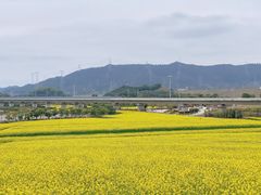 -光明小镇欢乐田园