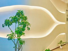 -小仙女采耳·按摩·SPA(深圳旗舰店)