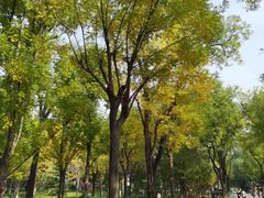-莲湖公园