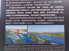 -春花秋色城市公园