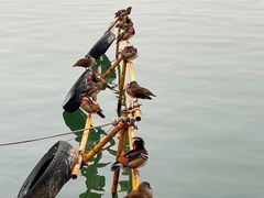 -北海公园