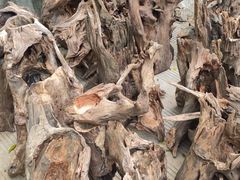 -桂林市花鸟市场