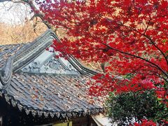 -虞山风景区