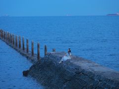-青岛第二海水浴场