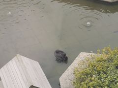 -南京圣和府邸豪华精选酒店