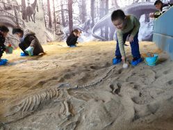 -恐龙探索乐园(磁器口店)