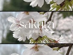 -上海滨江森林公园