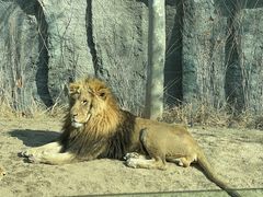 -北京野生动物园