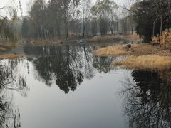 -北坞公园