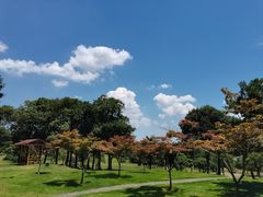 -宜兴龙背山森林公园