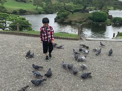 -水前寺成趣园