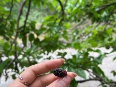 -高荡千年布依古寨旅游景区