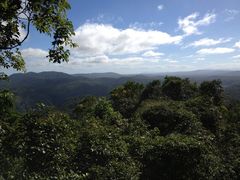 -热带雨林自然公园