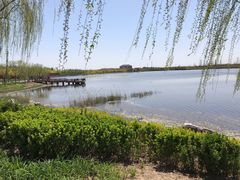 -天津东丽湖风景区
