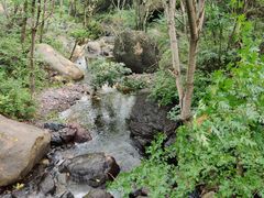 -云岫谷游猎自然风景区