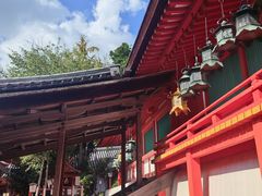 -奈良公园