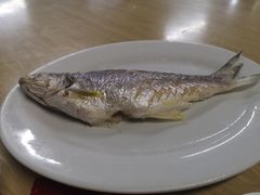 -长平肥姐白粥·海鲜打冷