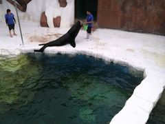 -秦皇岛乐岛海洋王国