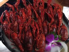 -红盔甲·小龙虾(天钥桥店)