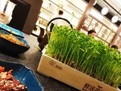 -湊湊火锅·茶憩(打浦桥日月光店)