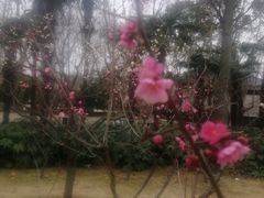 -南通博物苑-崇川人民公园