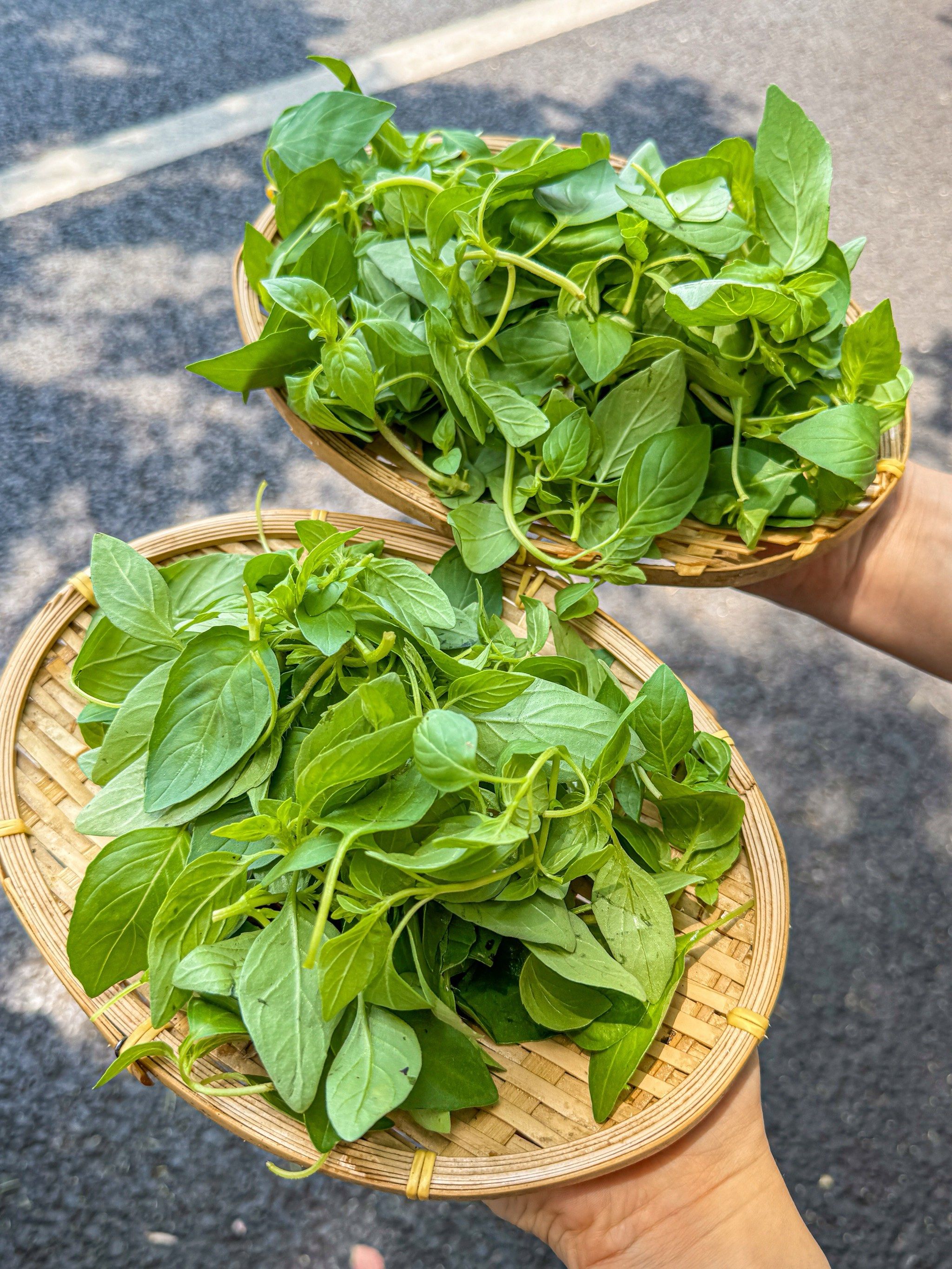 创作者赏金计划#假期恰饭回忆录
据说河南人有自己的九层塔
就是