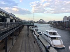 -悉尼海洋生物水族馆