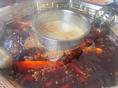 -绵阳森林雨鸭肠王火锅城(丽景花城店)