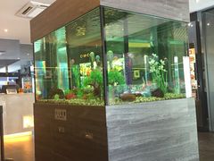 -大家乐(东莞虎门店)