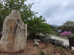 -北京西山国家森林公园