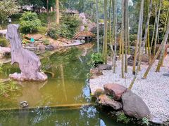-南山植物园