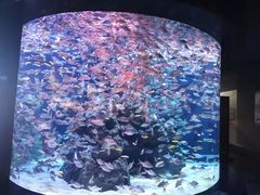 -成都浩海立方海洋公园