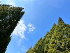 -宜兴龙背山森林公园