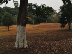 -张坝桂圆林公园