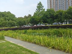 -皇粮浜公园