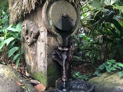-呀诺达热带雨林