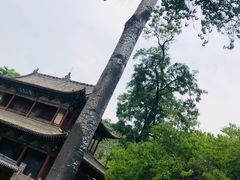 -晋祠公园